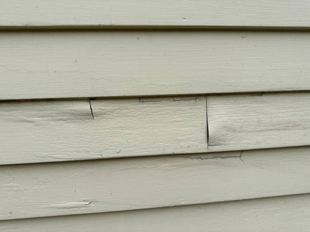 Trusted El Rio, CA Siding Experts